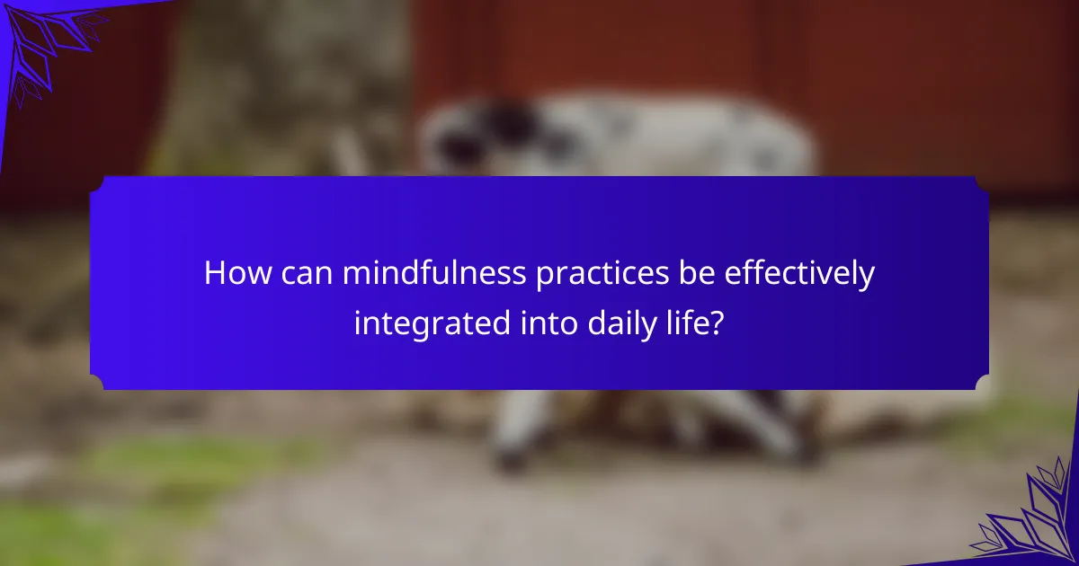 How can mindfulness practices be effectively integrated into daily life?