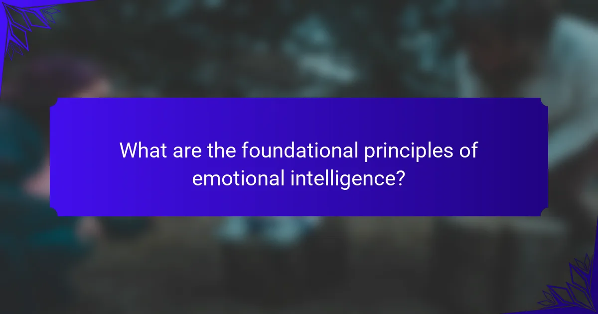 What are the foundational principles of emotional intelligence?