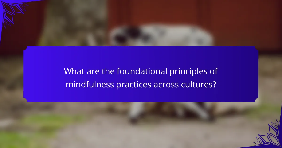 What are the foundational principles of mindfulness practices across cultures?